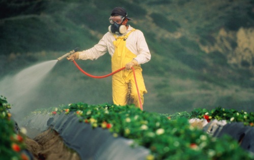 pesticid